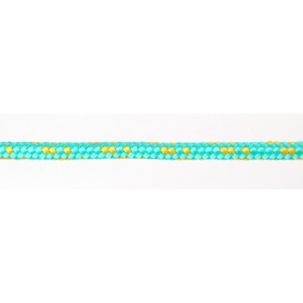 LINA PLECIONA PP 10MM 200M 69506