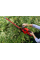 NOŻYCE DO ŻYWOPŁOTU 18V, 45 CM, OBROTOWE - BEZ AKUMULATORA YT-828332