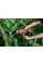 SEKATOR DO GAŁĘZI 18V, 30 MM, 60 CIĘĆ/MIN - AKUMULATOR 2 AH YT-828377