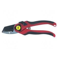 Sekator C.K G5636