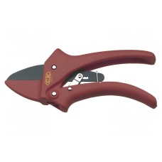 Sekator C.K G5674