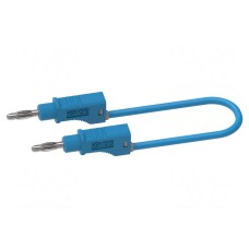 Przewód pomiarowy ELECTRO-PJP 2114-25BL