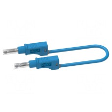 Przewód pomiarowy ELECTRO-PJP 2217/600V-100BL