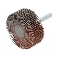 Ściernica PG PROFESSIONAL RG.019