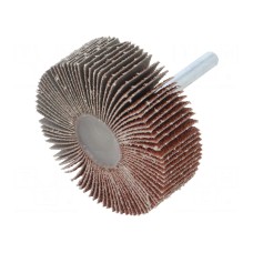 Ściernica PG PROFESSIONAL RG.024
