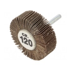 Ściernica PG PROFESSIONAL RG.094