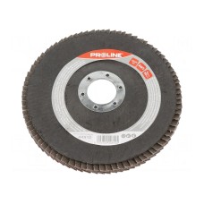 Tarcza szlifierska płatowa PROLINE 44812