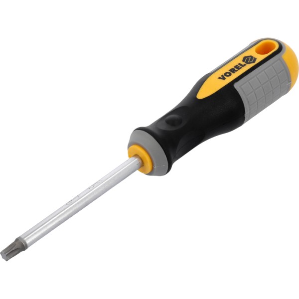WKRĘTAK TORX  T40X100 MM CRV 60891